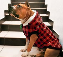 Dobaz RUIS PET Tartan - тепла куртка для великих собак - синій, XL Petmarket