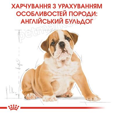 Royal Canin BULLDOG Puppy - корм для цуценят англійського бульдога - 12 кг % Petmarket