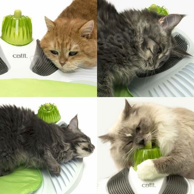 Catit Senses 2.0 WELLNESS CENTER - Массажный центр - интерактивная игрушка для кошек % Petmarket