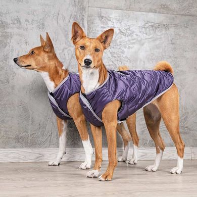 Pet Fashion CALM теплый жилет для собак - XS % Petmarket