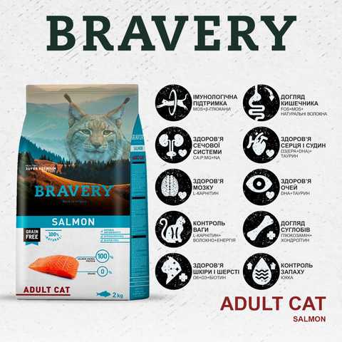 Bravery Salmon 2