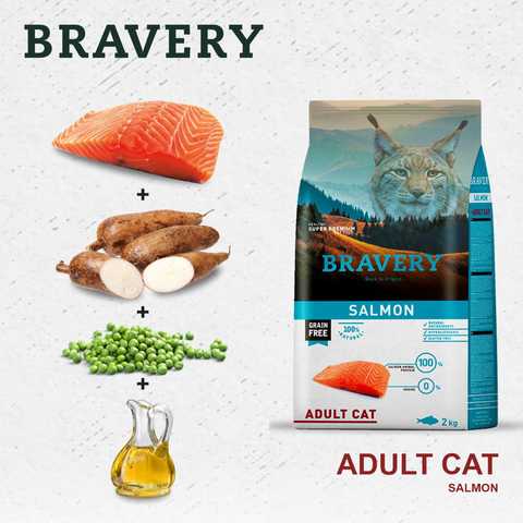 Bravery Salmon 2