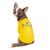 Pet Fashion ГАЛАКТИКА Футболка - одежда для собак - M, Желтый Petmarket