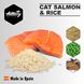 Amity SALMON & RICE - корм для котів (лосось/рис) - 10 кг
