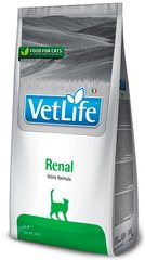 Farmina VetLife Renal дієтичний корм для кішок для підтримки функції нирок - 400 г Petmarket