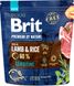 Brit Premium SENSITIVE Lamb & Rice - корм для чувствительных собак (ягненок/рис) - 1 кг