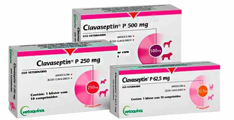 Vetoquinol Clavaseptin (Ветокінол Клавасептин) 62,5 мг - антибіотик для собак та котів, 10 табл. Petmarket