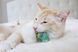 Petstages CATNIP CHEW MICE - Мишки з котячою м'ятою - іграшки для котів