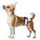 Collar WAUDOG Vet - гігієнічні труси для котів та собак на липучках - XXS