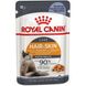 Royal Canin HAIR&SKIN CARE IN JELLY in Jelly (шматочки в желе) - консерви для кішок - 85 г %