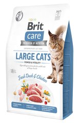 Brit Care Grain Free Large CATS Power & Vitality - корм для кошек крупных пород - 7 кг Petmarket