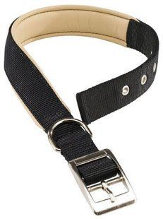 Ferplast DAYTONA C - нейлоновий нашийник для собак - Зелений, 27-35 см Petmarket