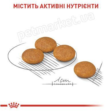 Royal Canin MINI DERMACOMFORT - корм для собак дрібних порід з чутливою шкірою - 3 кг Petmarket