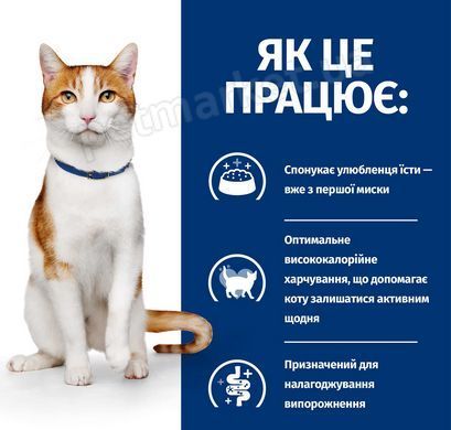 Hill&rsquo;s PD ON-Care - дієтичний корм для котів, які страждають на тяжкі захворювання (онкологія) - 1,5 кг Petmarket