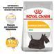 Royal Canin MINI DERMACOMFORT - корм для собак дрібних порід з чутливою шкірою - 3 кг %