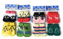 Кольорові шкарпетки для собак - M Petmarket