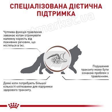 Royal Canin GASTRO INTESTINAL Fibre Response &mdash; влажный лечебный корм для кошек при запорах &mdash; 85 г Petmarket