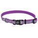 Coastal LAZER Brite - світловідбиваючий нашийник для собак - 71 см - Бірюзовий Petmarket
