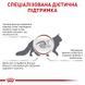 Royal Canin GASTRO INTESTINAL Fibre Response &mdash; влажный лечебный корм для кошек при запорах &mdash; 85 г