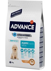 Advance PUPPY Maxi - корм для щенков крупных пород - 12 кг Petmarket
