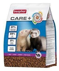 Beaphar CARE + Ferret - корм для тхорів - 2 кг % Petmarket