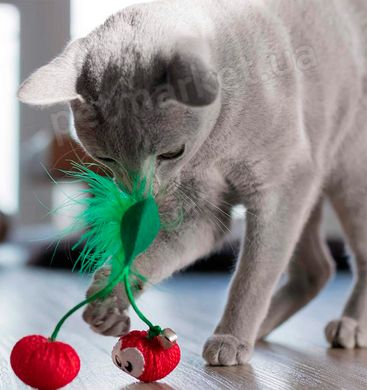 Petstages Dental Cherry - Вишенка - игрушка для кошек Petmarket