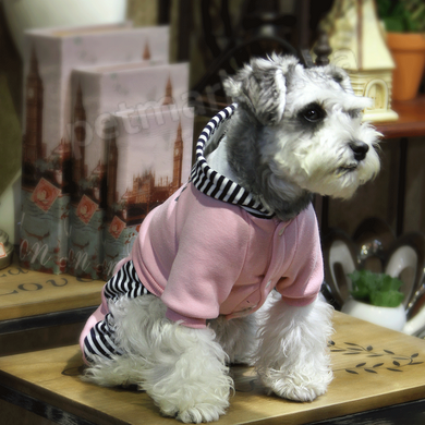 Dobaz MODERN теплий костюм - одяг для собак - Рожевий, M Petmarket