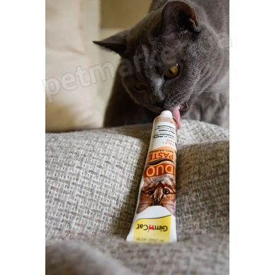 GimCat Anti-Hairball Duo-Paste + Сыр - паста для выведения шерсти для кошек Petmarket