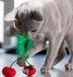 Petstages Dental Cherry - Вишенка - игрушка для кошек