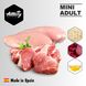 Amity MINI ADULT - корм для собак мелких пород (курица/ягненок) - 10 кг