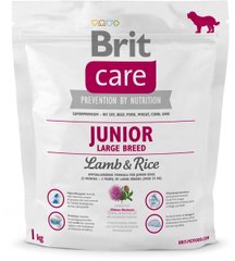 Brit Care JUNIOR Large BREED Lamb & Rice - корм для щенков и молодых собак крупных пород (ягненок/рис) - 3 кг Petmarket