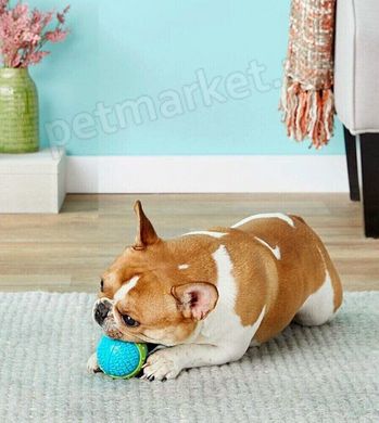 Kong CORESTRENGTH BALL - М'яч - іграшка для собак - M - 6 см % Petmarket