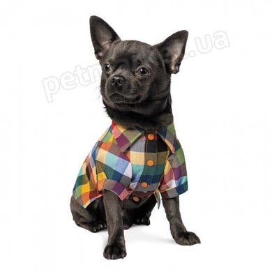 Pet Fashion СТІТЧ Сорочка - одяг для собак - S Petmarket