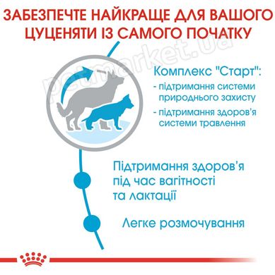 Royal Canin MAXI STARTER - корм для цуценят, вагітних і годуючих собак великих порід - 15 кг % Petmarket