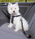 Trixie ШЛЕЯ с ремнем безопасности в автомобиль для собак - S