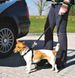 Trixie Шлея з ременем безпеки в автомобіль для собак - S
