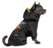 Pet Fashion FLASH - теплий костюм для собак - XS %