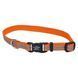 Coastal LAZER Brite - світловідбиваючий нашийник для собак - 71 см - Бірюзовий Petmarket