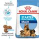 Royal Canin MAXI STARTER - корм для щенков, беременных и кормящих собак крупных пород - 1 кг