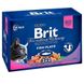 Brit Premium Cat FISH PLATE - Рыбная тарелка - набор влажных кормов для кошек (4 шт. х 100 г)