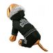 IsPet DOG TOWN теплий комбінезон - одяг для собак - XS