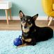 Jolly Pets Tug-n-Toss Mini Гиря іграшка для собак - 7,5 см, Блакитний