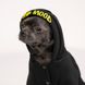 Pet Fashion FLASH - теплий костюм для собак - XS-2 %