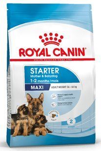 Royal Canin MAXI STARTER - корм для цуценят, вагітних і годуючих собак великих порід - 4 кг % Petmarket