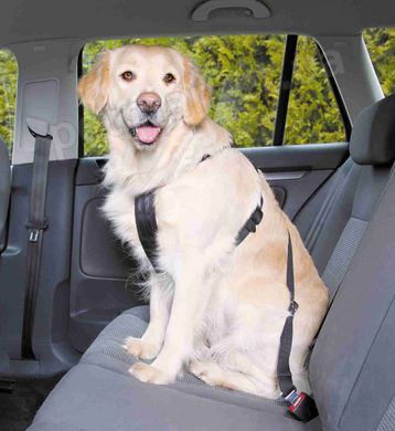 Trixie ШЛЕЯ с ремнем безопасности в автомобиль для собак - XL Petmarket