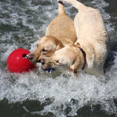 Jolly Pets Romp-n-Roll - мяч с канатом для собак - Зеленый, 16 см Petmarket