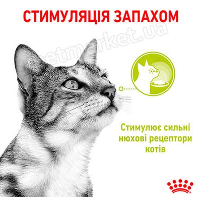Royal Canin Sensory Smell кусочки в соусе - влажный корм для привередливых кошек - 85 г Petmarket