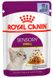 Royal Canin Sensory Smell кусочки в соусе - влажный корм для привередливых кошек - 85 г %