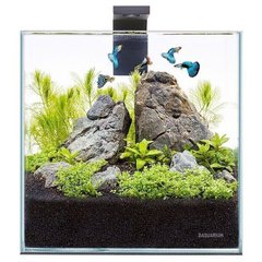 Collar PICO Set - аквариум с комплектом аксессуаров Petmarket