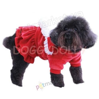 DoggyDolly BUNNY плаття - одяг для собак - XS % РОЗПРОДАЖ Petmarket